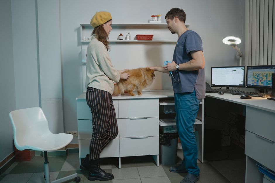 Recepcia veterinárnej kliniky AMIS v Bratislave
