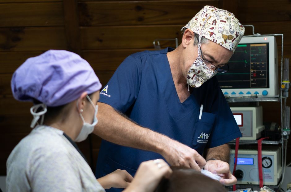Veterinárna operačná sála